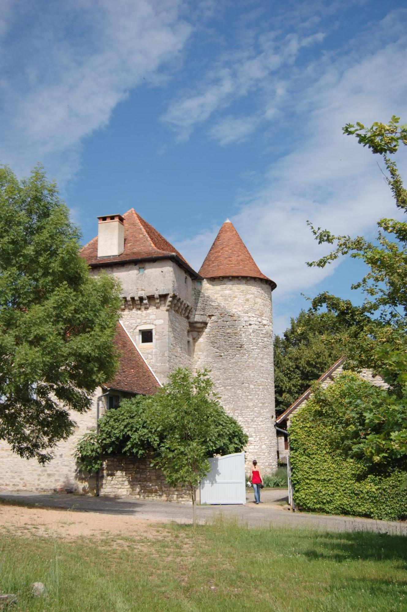 Ambeyrac Chateau De Camboulan المظهر الخارجي الصورة