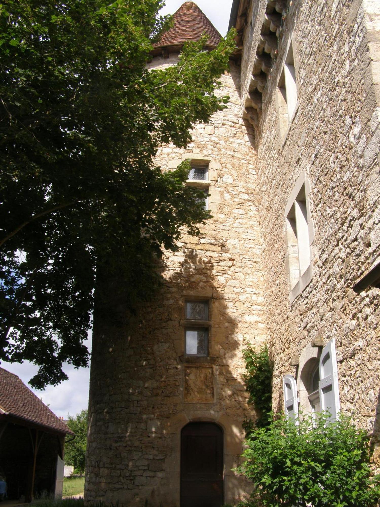Ambeyrac Chateau De Camboulan المظهر الخارجي الصورة